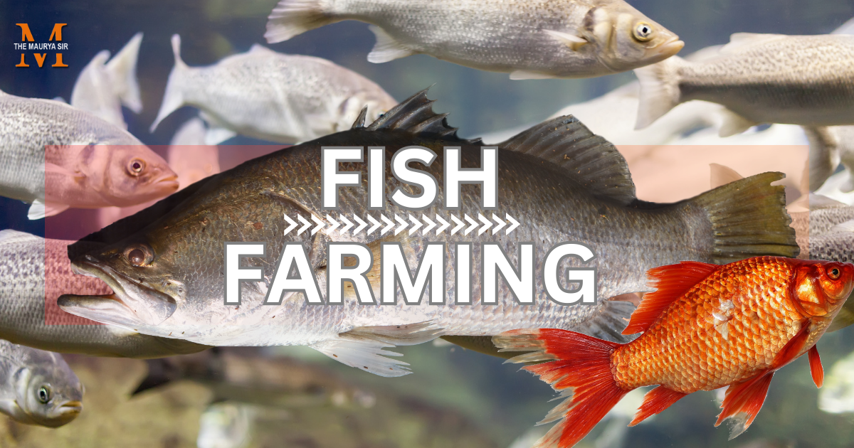 How to Make Fish Farming: A Comprehensive Guide