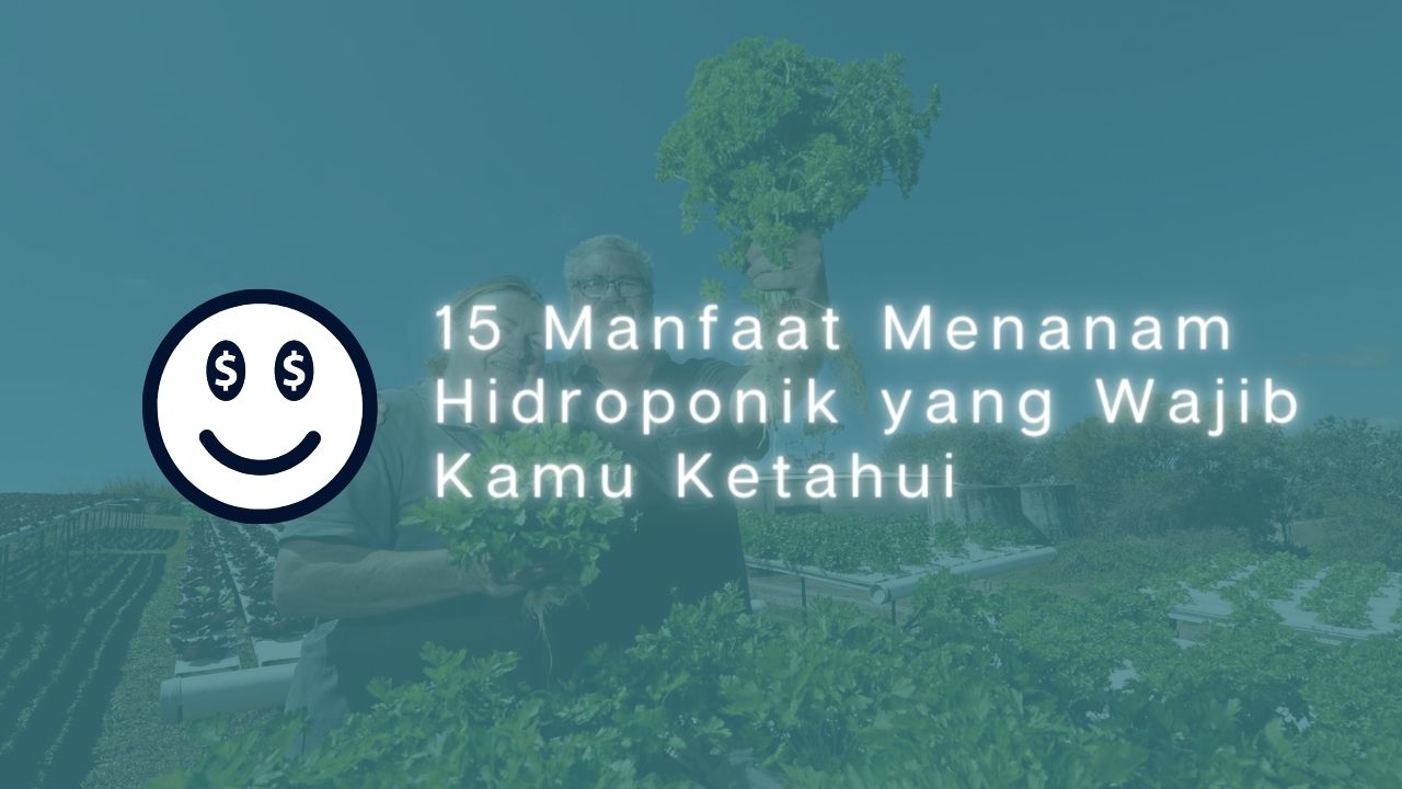 15 Manfaat Menanam Hidroponik yang Wajib Kamu Ketahui