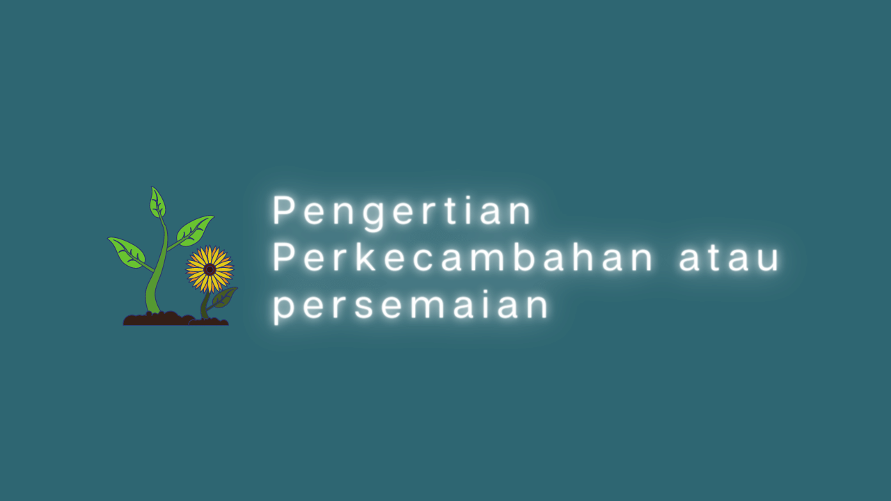 Apa yang dimaksud dengan Perkecambahan dan Persemaian ?