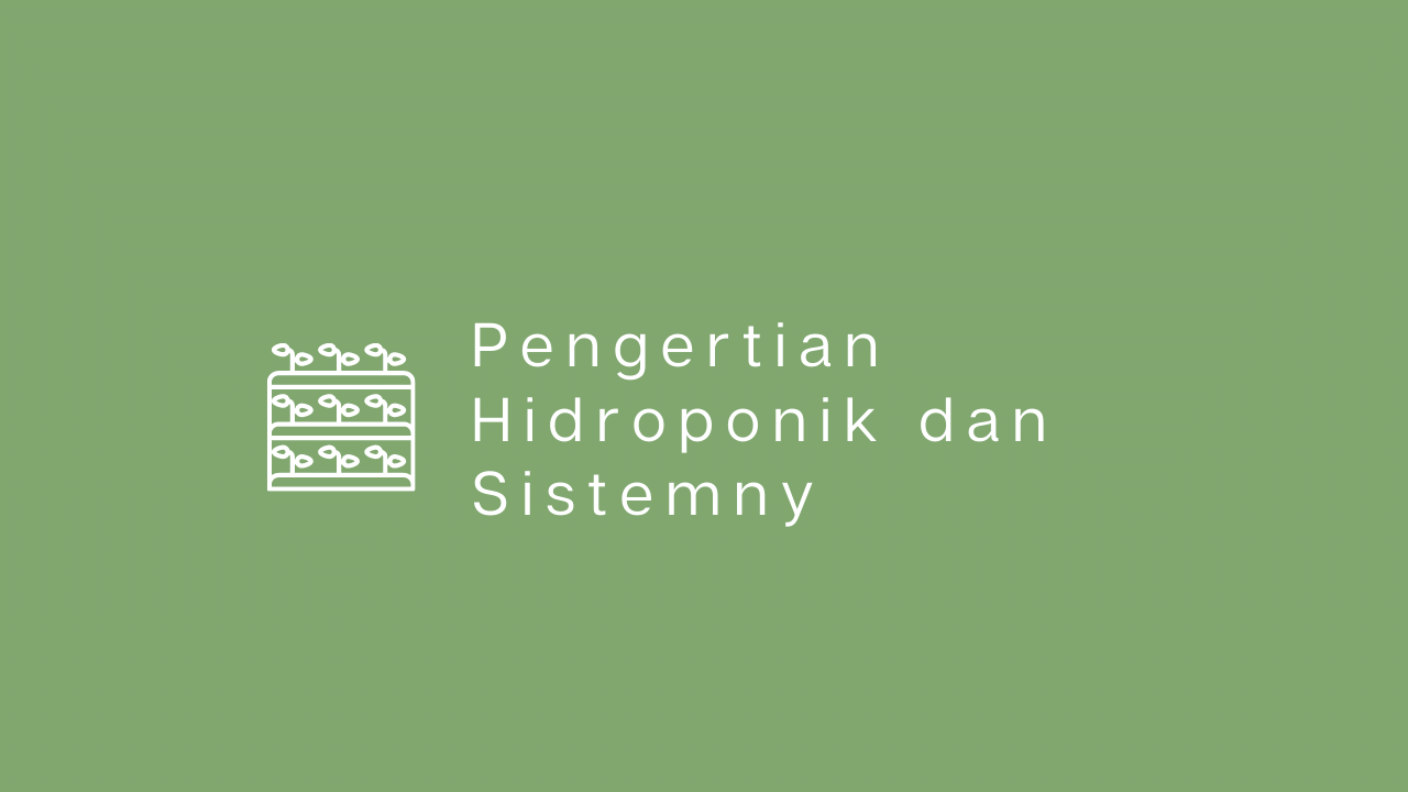 Pengertian Hidroponik dan Macam-macam Sistem Hidroponik Populer